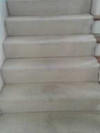 carpet cleaning stairs 1 before